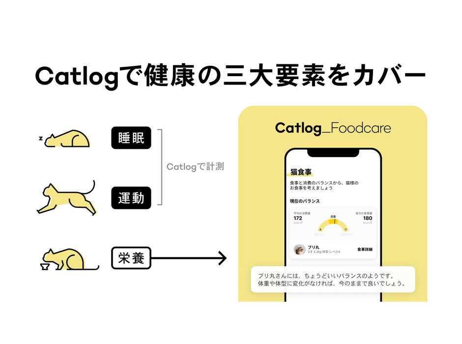 RABO、猫の食事をテクノロジーでサポートする「Catlogフードケア」をリリース