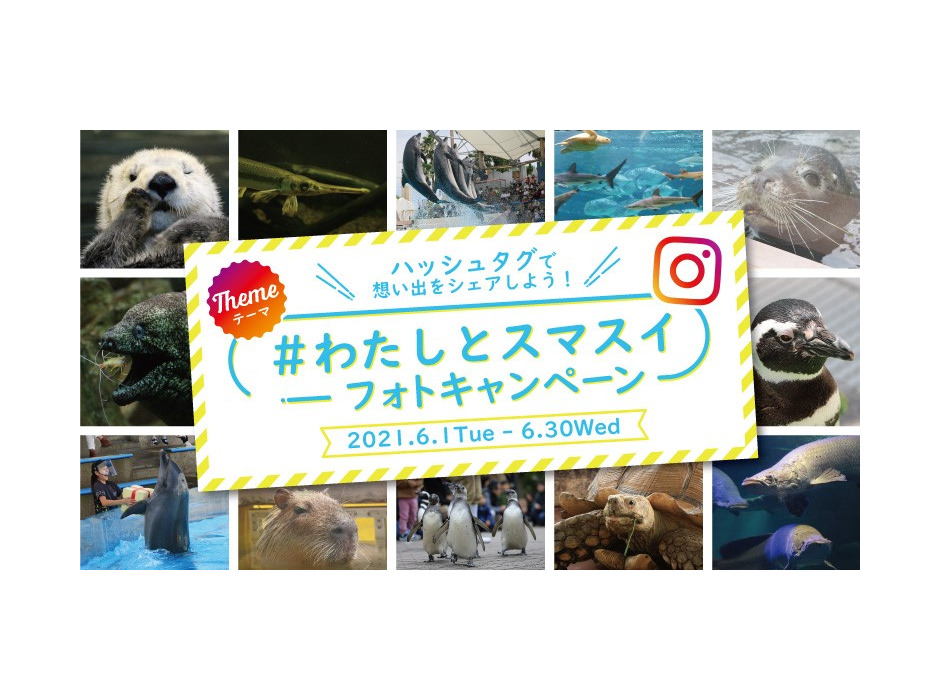 神戸市立須磨海浜水族園、「インスタグラムフォトキャンペーン」を開催