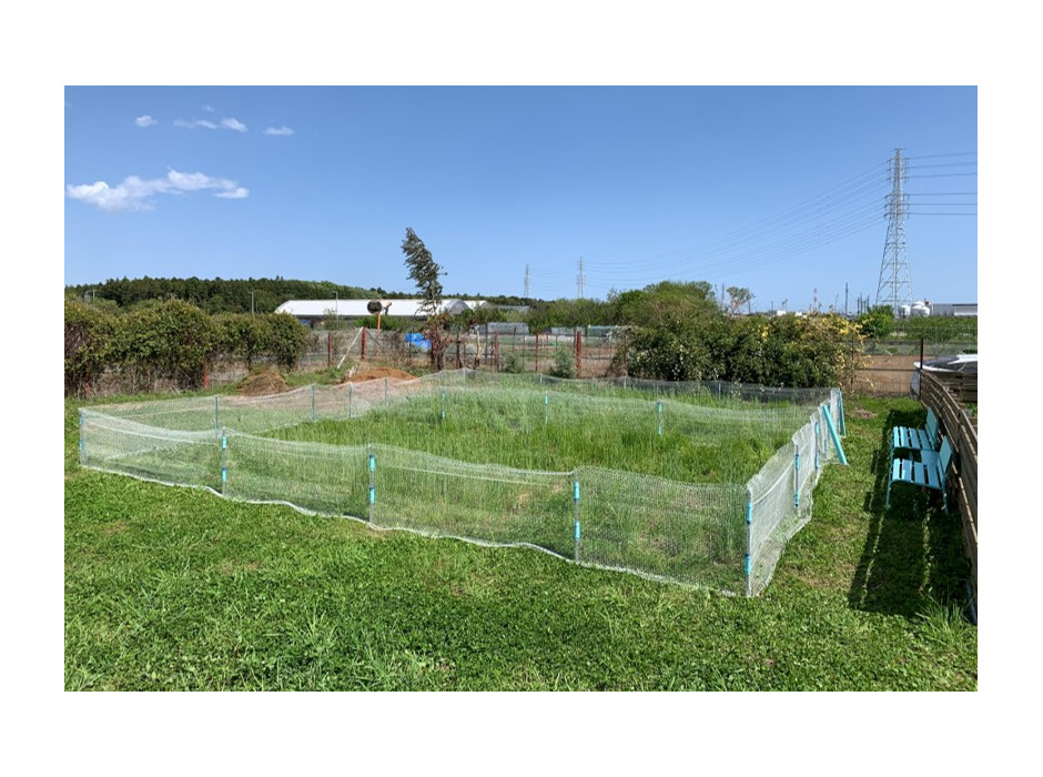 「Rabbit Park FUJISAWA」、夏期クローズ期間を利用した“国産生牧草の詰め放題”スタート