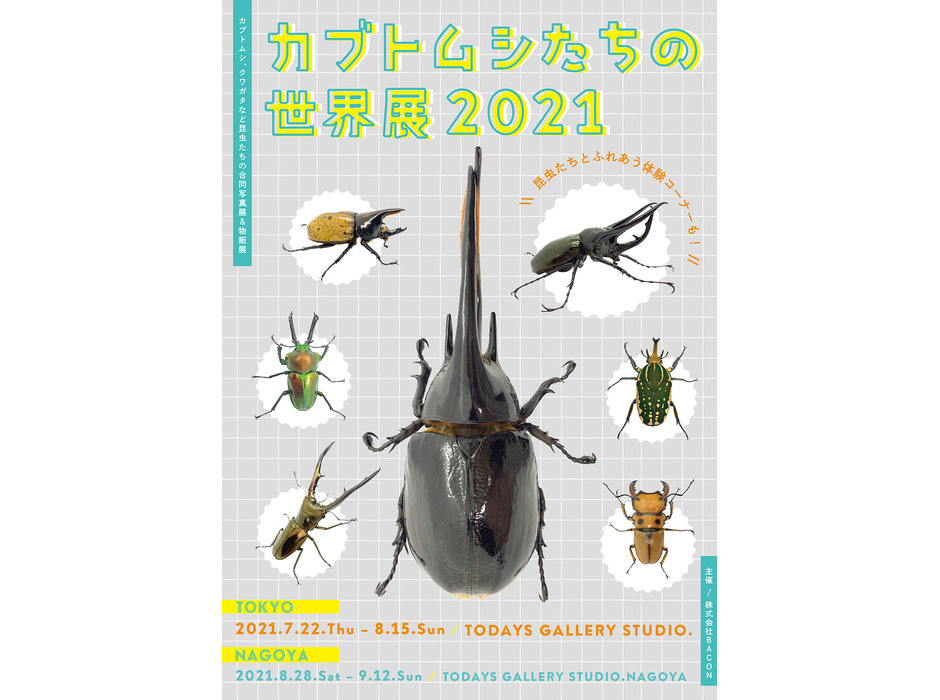 「カブトムシたちの世界展 2021」開催