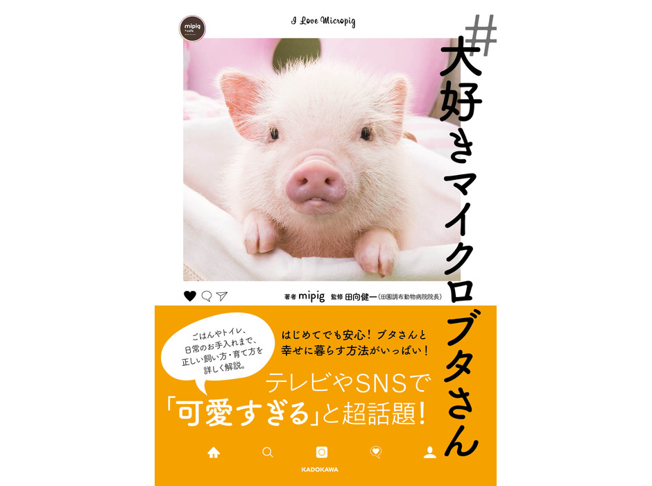 マイクロブタ飼育本『＃大好きマイクロブタさん』、KADOKAWAより刊行
