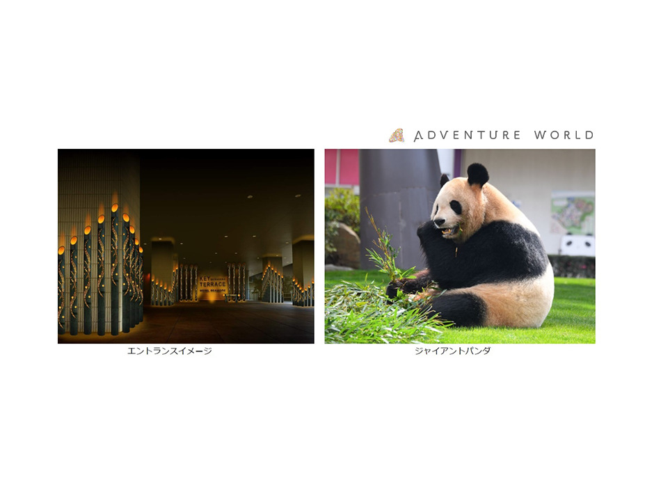 アドベンチャーワールド、ホテルシーモア主催イベント「七夕meets竹あかり」にジャイアントパンダが食べ残した竹幹を提供