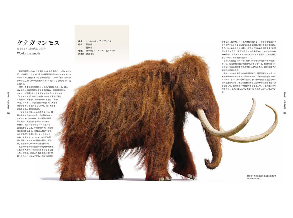 ビジュアル書籍『絶滅動物図鑑 地球から消えた生き物たち』、日経ナショナル ジオグラフィックより刊行