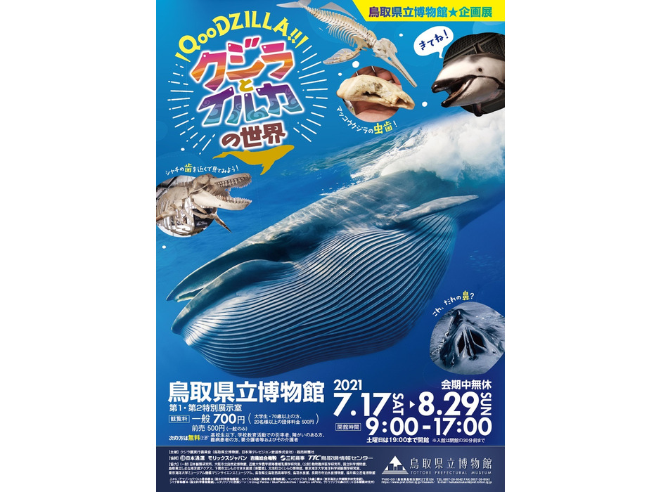 企画展 「QooDZILLA！！ クジラとイルカの世界」 開催