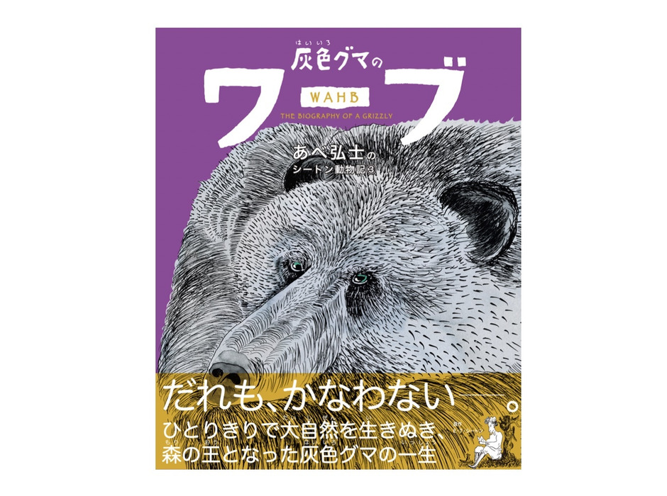 あべ弘士のシートン動物記シリーズ最新作『灰色グマのワーブ』