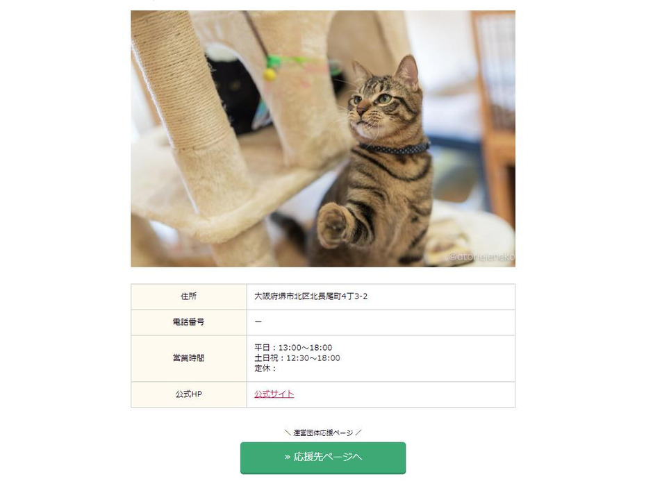 「保護猫カフェ応援特設サイト」オープン