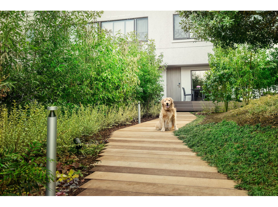 伊豆マリオットホテル修善寺、「初めての愛犬旅応援プラン」を発売