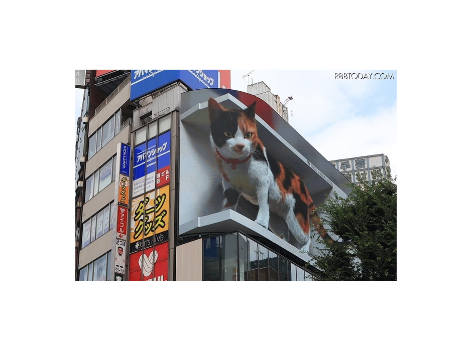 新宿駅前の巨大3D三毛猫に注目集まる！今後期待される新しい広告ビジョン