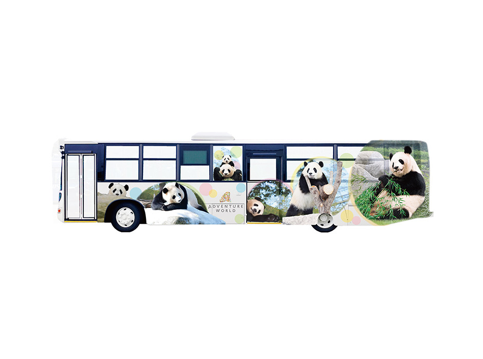 ジャイアントパンダのラッピングバス、「パンダ白浜アドベンチャーバス」運行