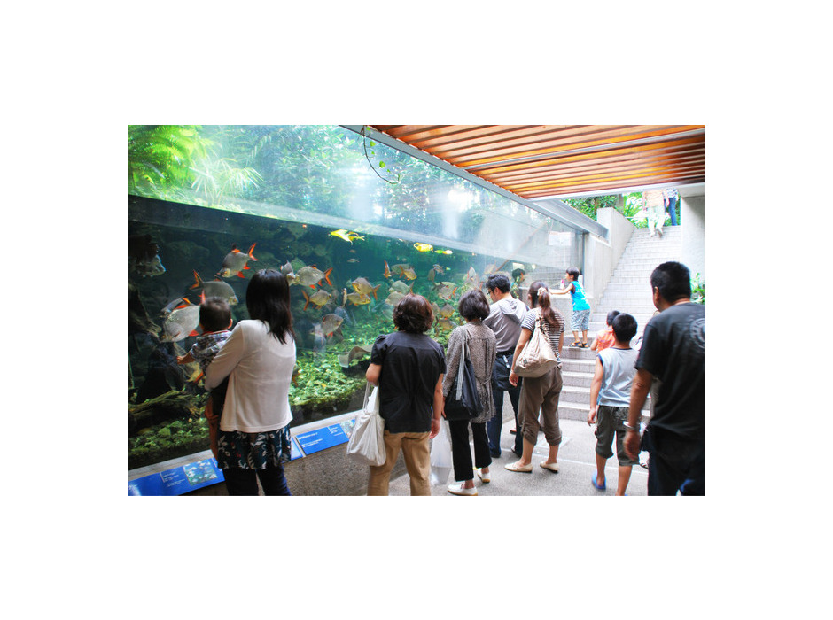 板橋区立熱帯環境植物館、特別展示「熱帯の昆虫と食虫植物」を開催