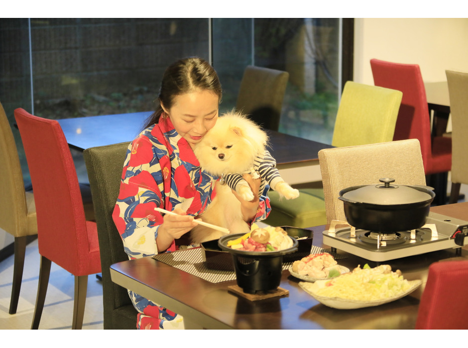 愛犬と泊まれる旅館「ゆるり西伊豆」、愛犬用クールバンダナ付きプランを発売