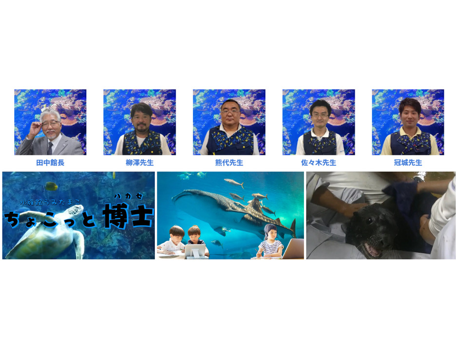 自宅で水族館が楽しめるポータルサイト「日本デジタル水族館」オープン