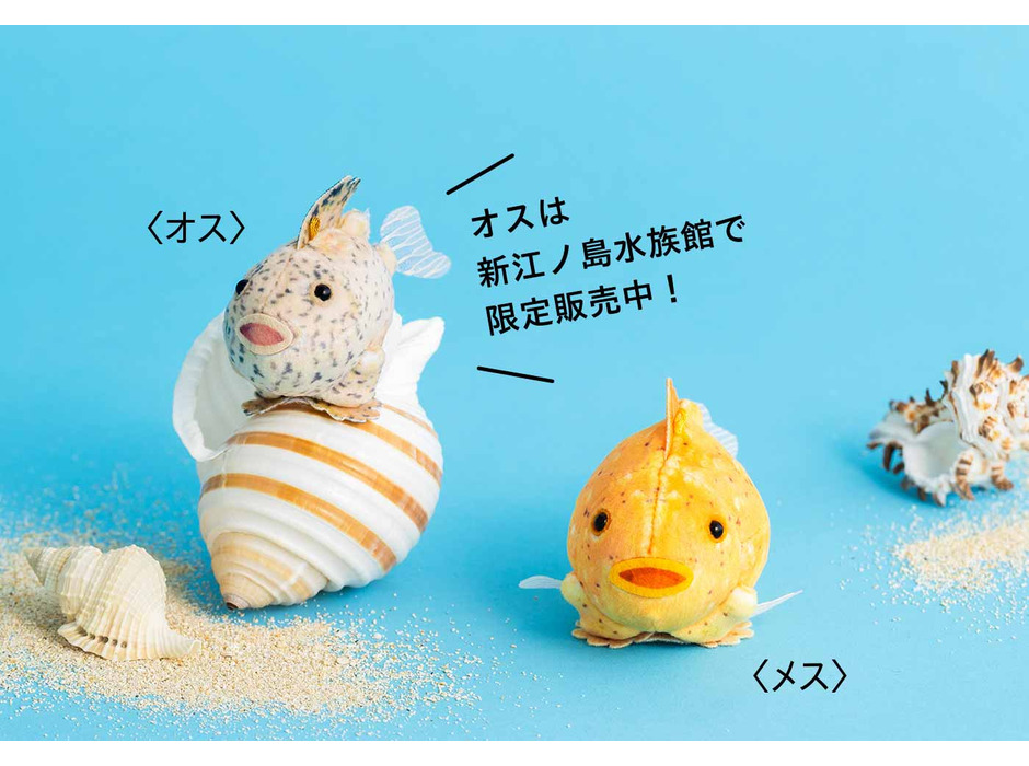 フェリシモ、新江ノ島水族館監修の「タカアシガニ脱皮ぬいぐるみ」と「フウセンウオマスコット」を発売