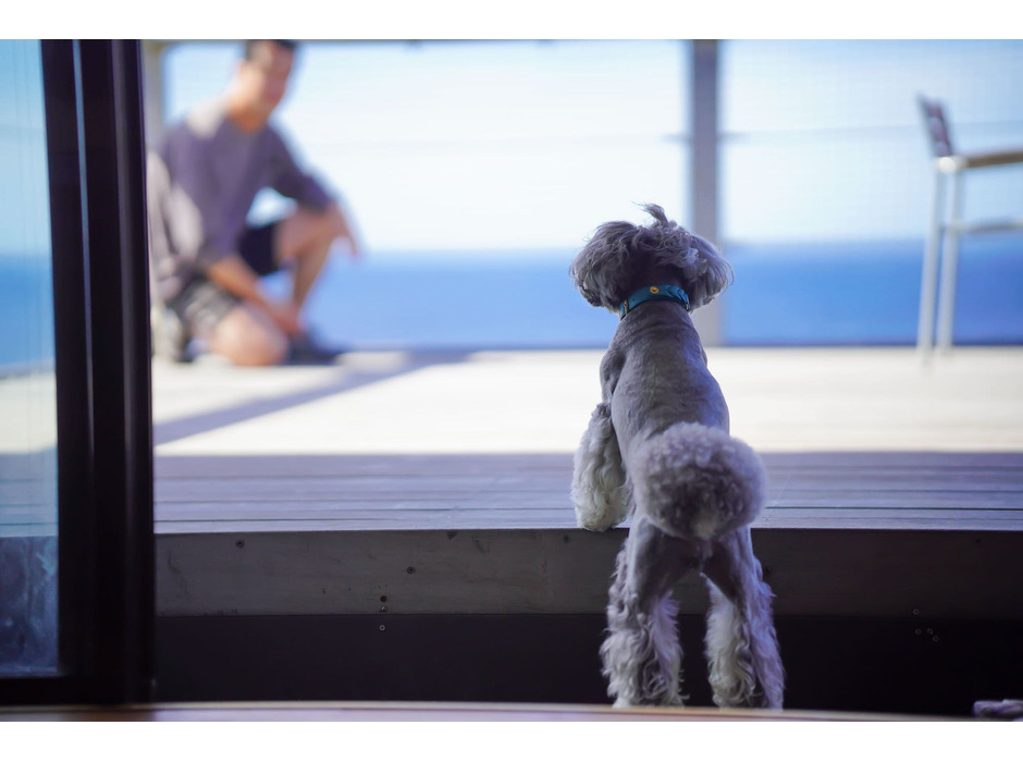 愛犬と泊まれる貸別荘「ASOVILUX」、伊豆大島にオープン