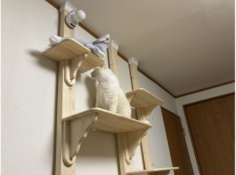 ねこDIY：ねこ棚をつくる 後編