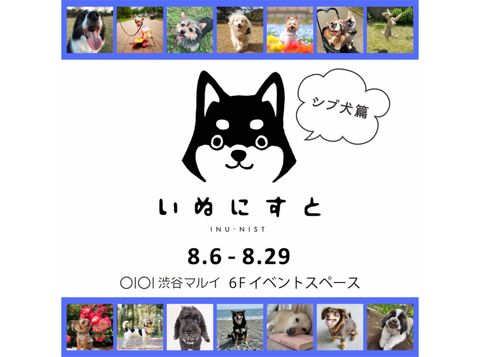 「ねこにすと37～シブ猫篇～」「いぬにすと～シブ犬篇～」渋谷マルイにて開催