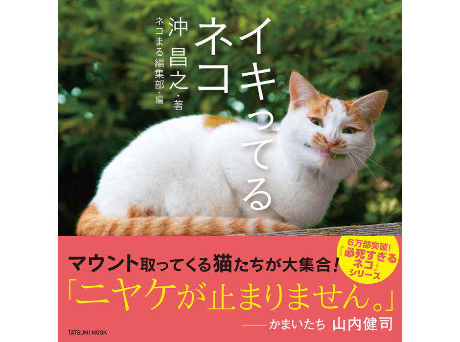 『イキってるネコ』、辰巳出版より刊行