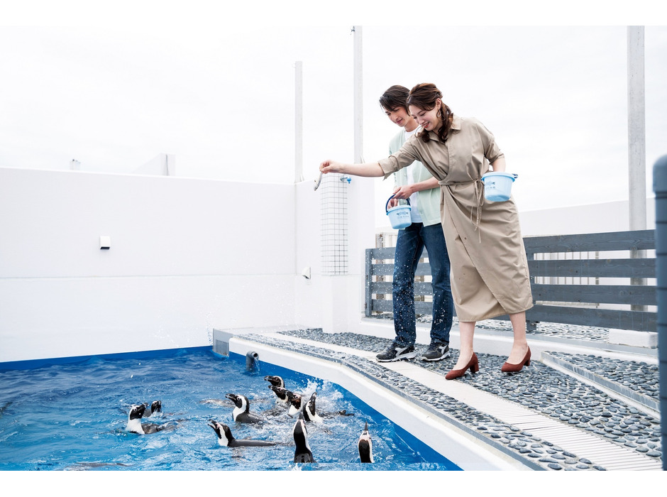 四国水族館、夜の水族館「Night Scapeこがねいろ2021」を開催