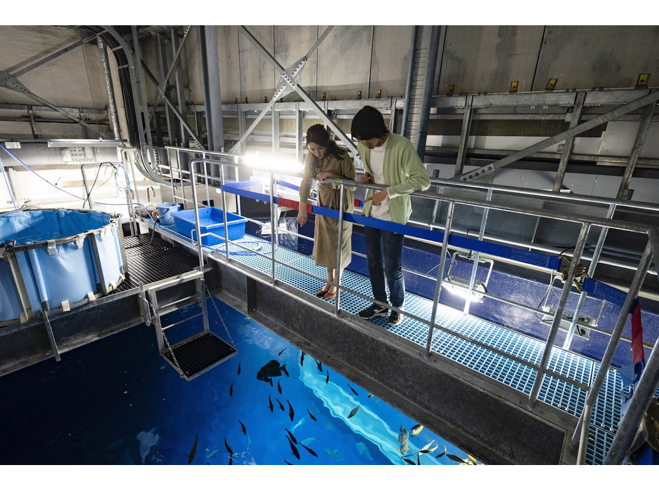 四国水族館、夜の水族館「Night Scapeこがねいろ2021」を開催