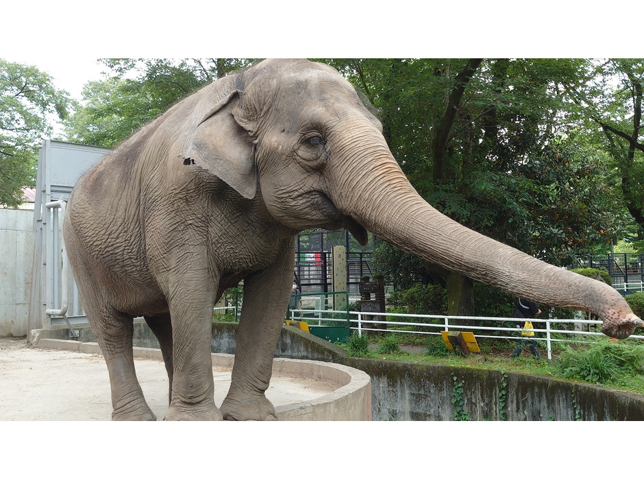宇都宮動物園、クラウドファンディングプロジェクトを開始