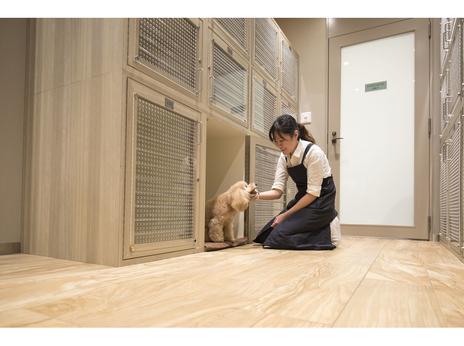 W大阪、シェラトン・グランデ・トーキョーベイ・ホテル、モクシー大阪新梅田にて、愛犬と一緒に宿泊できるステイケーションパッケージ提供