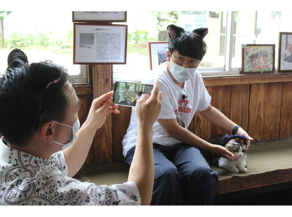 猫旅バラエティ番組「猫大好き芸能人集結！東北ニャンだらけツアー」、日本テレビ系列28局ネットで放送