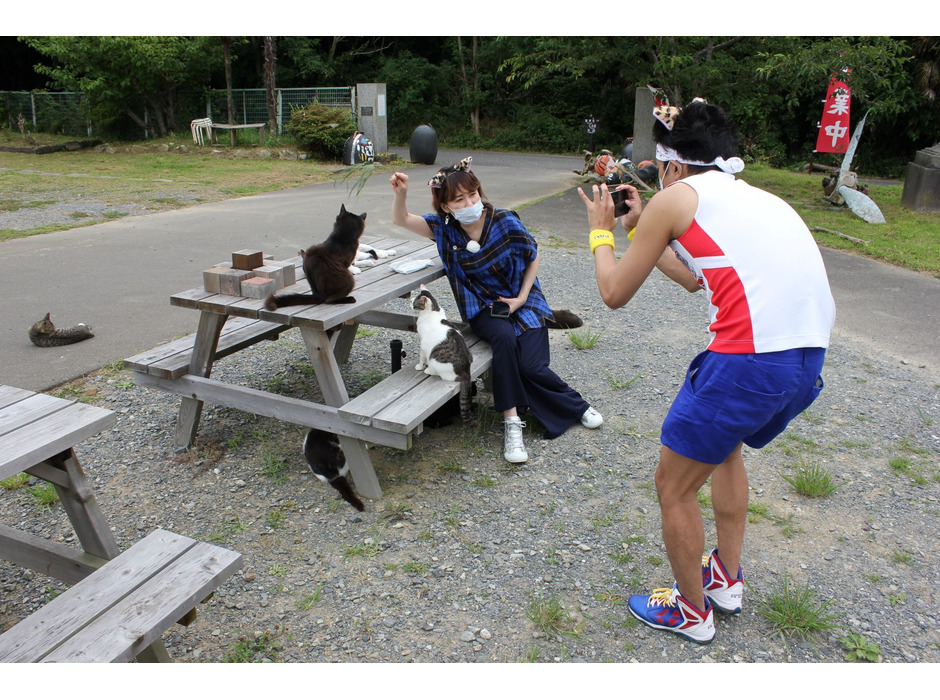 猫旅バラエティ番組「猫大好き芸能人集結！東北ニャンだらけツアー」、日本テレビ系列28局ネットで放送