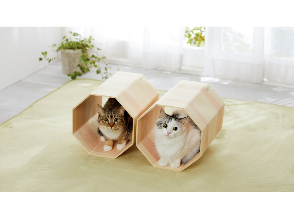 「吉野桧」を使用した猫専用トンネルベッド新発売