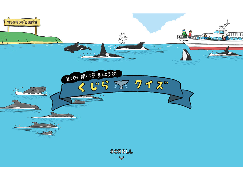 クジラの生態を楽しく学べるクイズサイト公開