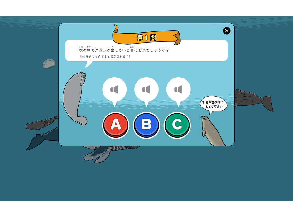 クジラの生態を楽しく学べるクイズサイト公開