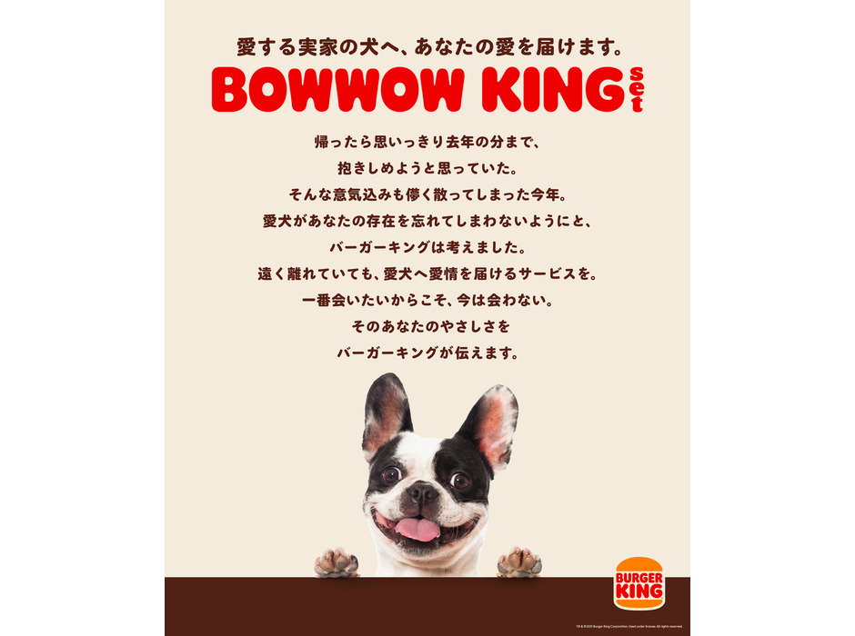 『BOWWOW KING（バウワウ キング）set』限定発売