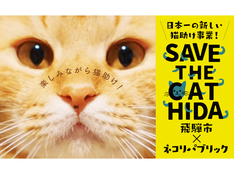 ネコリパブリック、ふるさと納税を活用した飛騨市との猫助けプロジェクト「SAVE THE CAT HIDA」を始動