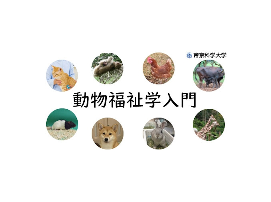 帝京科学大学「動物福祉学入門」を再開講
