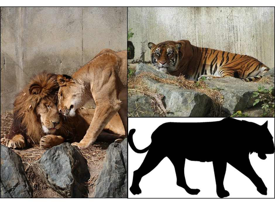 日立市かみね動物園、「猛獣舎」リニューアルに向けて、ふるさと納税を活用したクラウドファンディングを開始