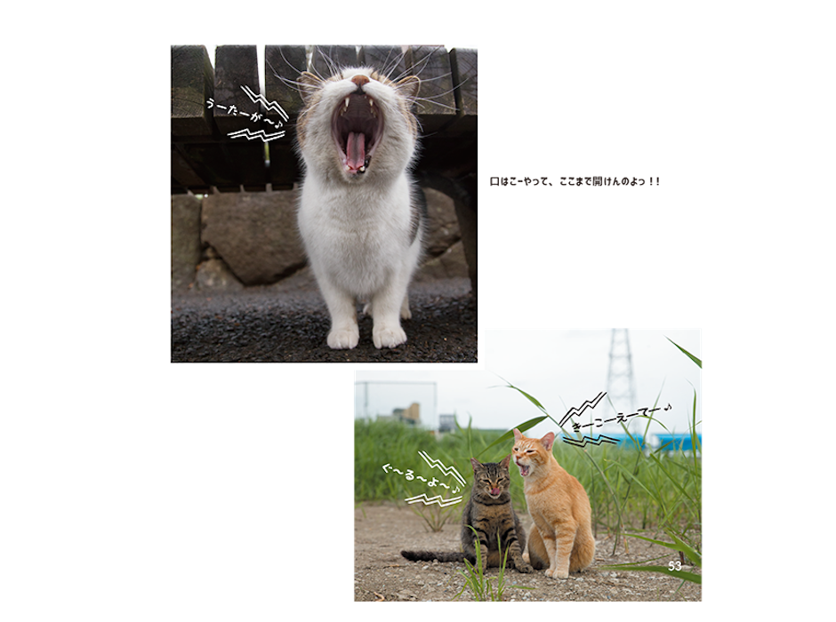 『必死すぎるネコ』の写真家最新作『おどるネコうたうネコ』、KADOKAWAより刊行