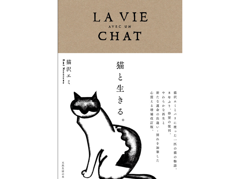 ミュージシャン猫沢エミ氏の著書『猫と生きる。』