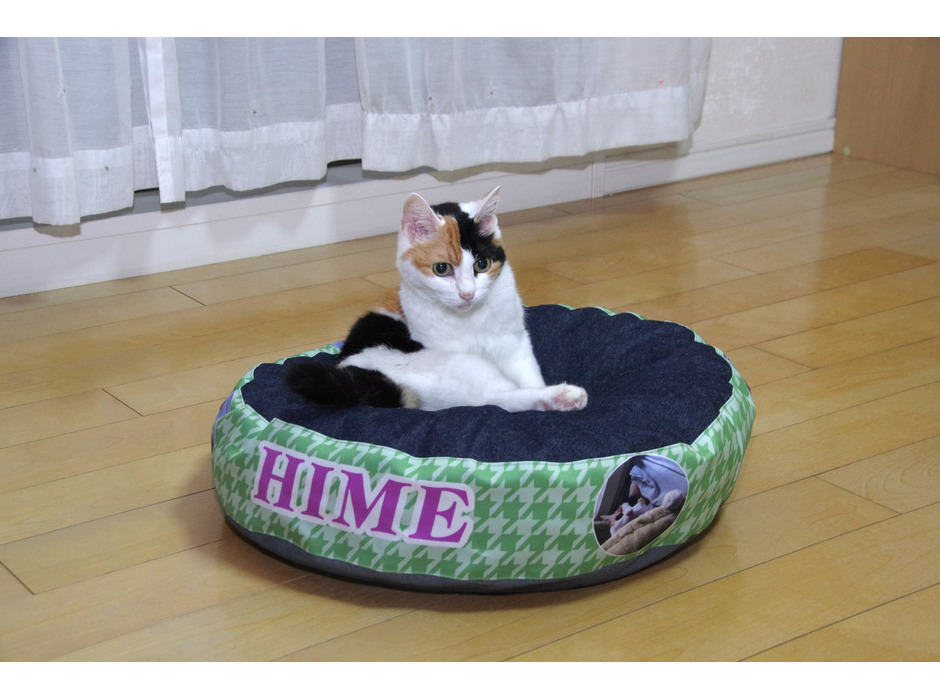 日本羽毛製造、愛猫の写真をプリントできる「羽毛のラウンドベッド」の受注生産を開始