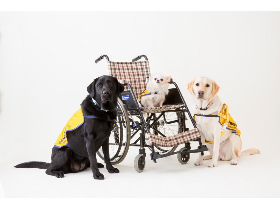 補助犬の活動を知って学べる体験イベント、イオンモール幕張新都心にて開催