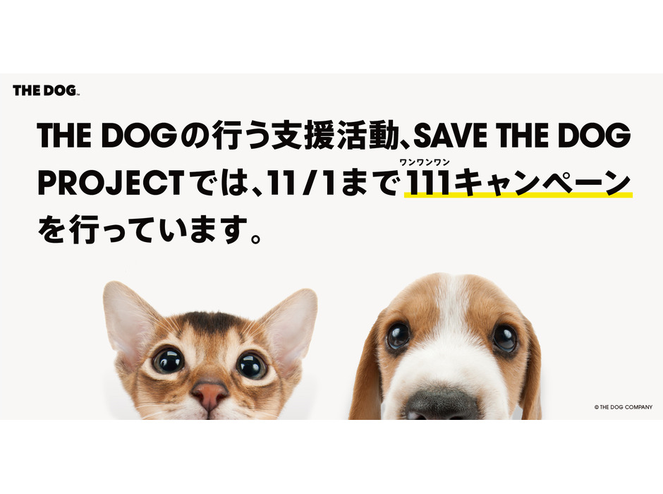 THE DOG COMPANY、「SAVE THE DOG PROJECT 111キャンペーン」を開催