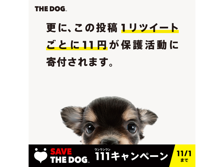 THE DOG COMPANY、「SAVE THE DOG PROJECT 111キャンペーン」を開催