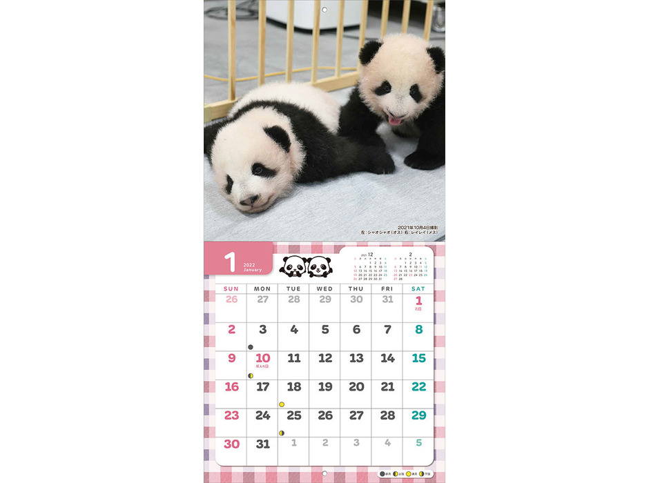「双子パンダ シャオシャオ＆レイレイ ‘22カレンダー」発売