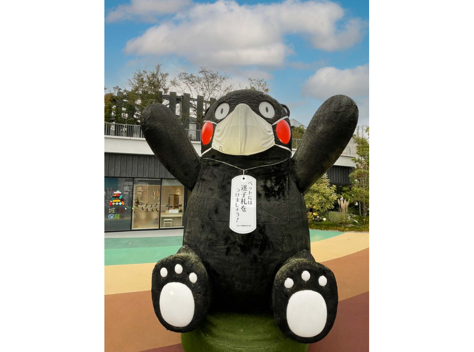 九州最大級の保護犬猫譲渡会開催