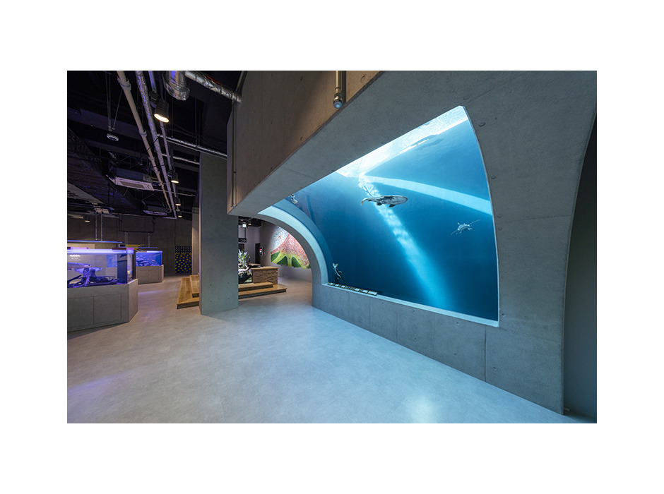 アートとアクアリウムが融合した水族館「átoa」、神戸にオープン