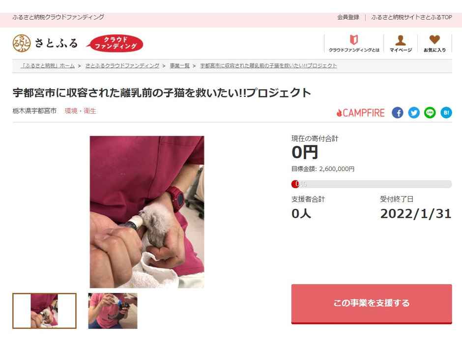 栃木県宇都宮市とさとふる、猫の殺処分ゼロを目指し離乳前の子猫を新たな飼い主への譲渡につなげるためのクラウドファンディングを開始