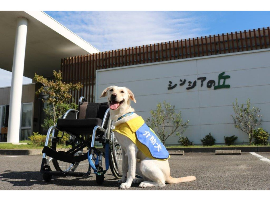 日本介助犬協会×長久手市、ふるさと納税を活用したクラウドファンディングを実施