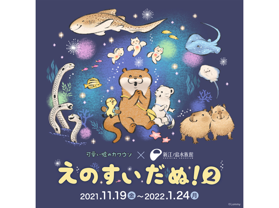「可愛い嘘のカワウソ」× 新江ノ島水族館 特別コラボ企画第2弾、「えのすいだぬ！2」開催