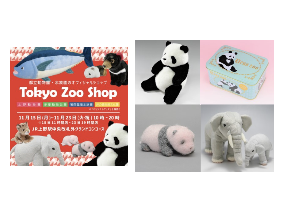 上野動物園公式「Tokyo Zoo Shop」出店＆ 「シャンシャン」写真展開催