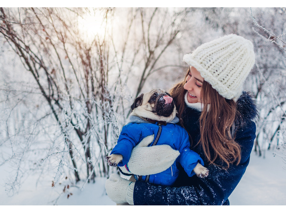 コートヤード・バイ・マリオット 白馬、愛犬と銀世界を満喫できる宿泊プラン「Winter Holiday with Dog」を発売