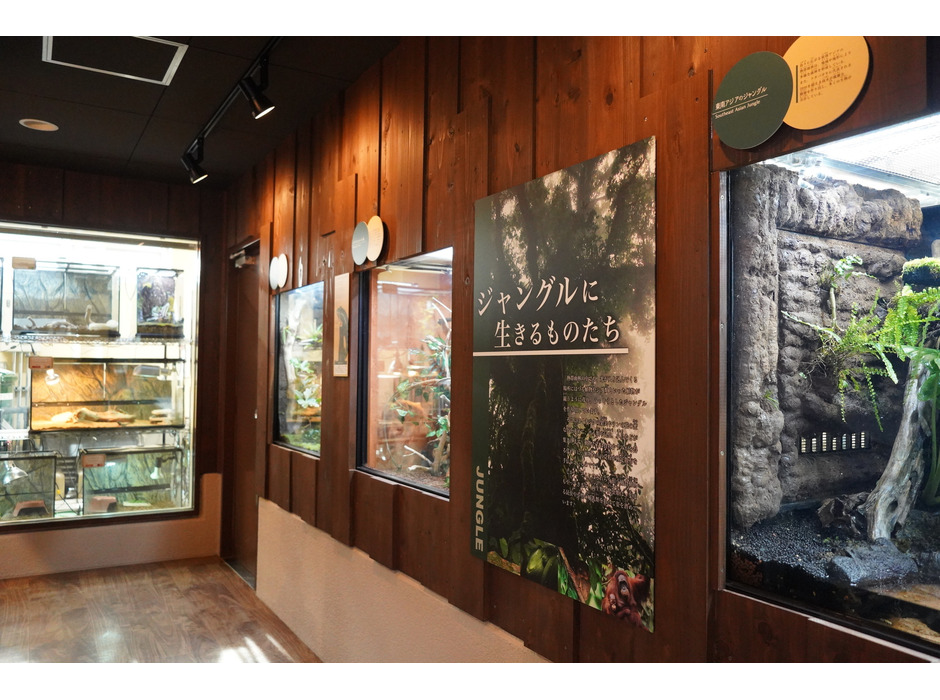 周南市徳山動物園、アジアの生息環境を再現した「アジアの熱帯雨林ゾーン」をオープン