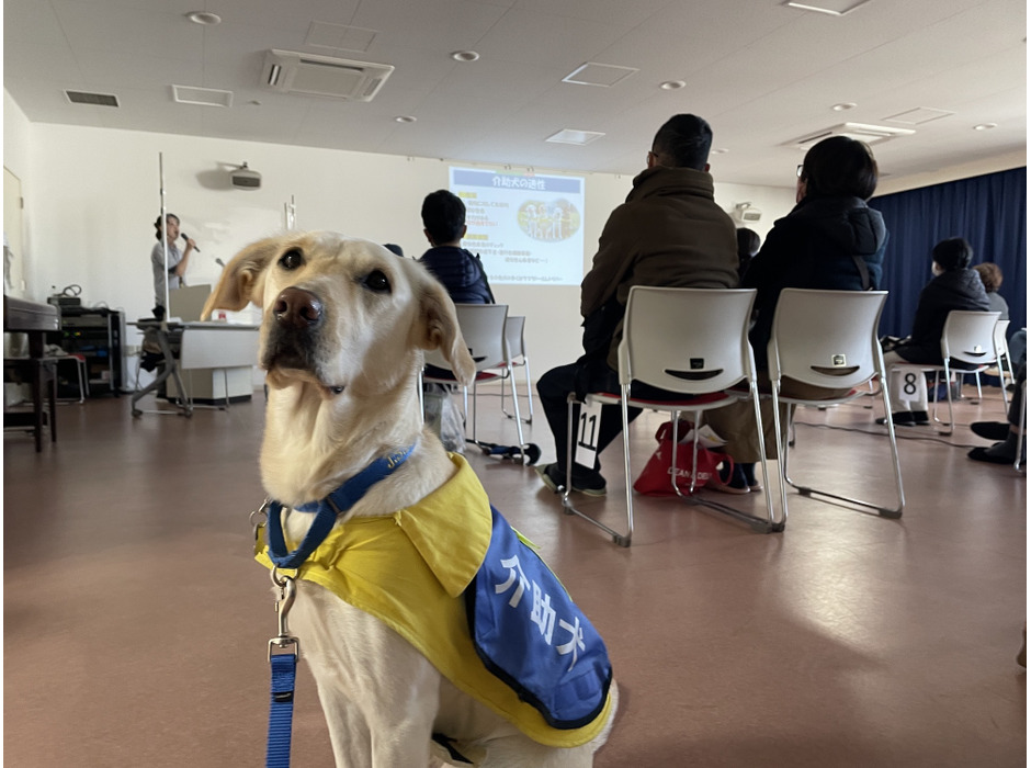 日本介助犬協会、日本で唯一の介助犬総合訓練施設の来場型見学会を1年ぶりに開催